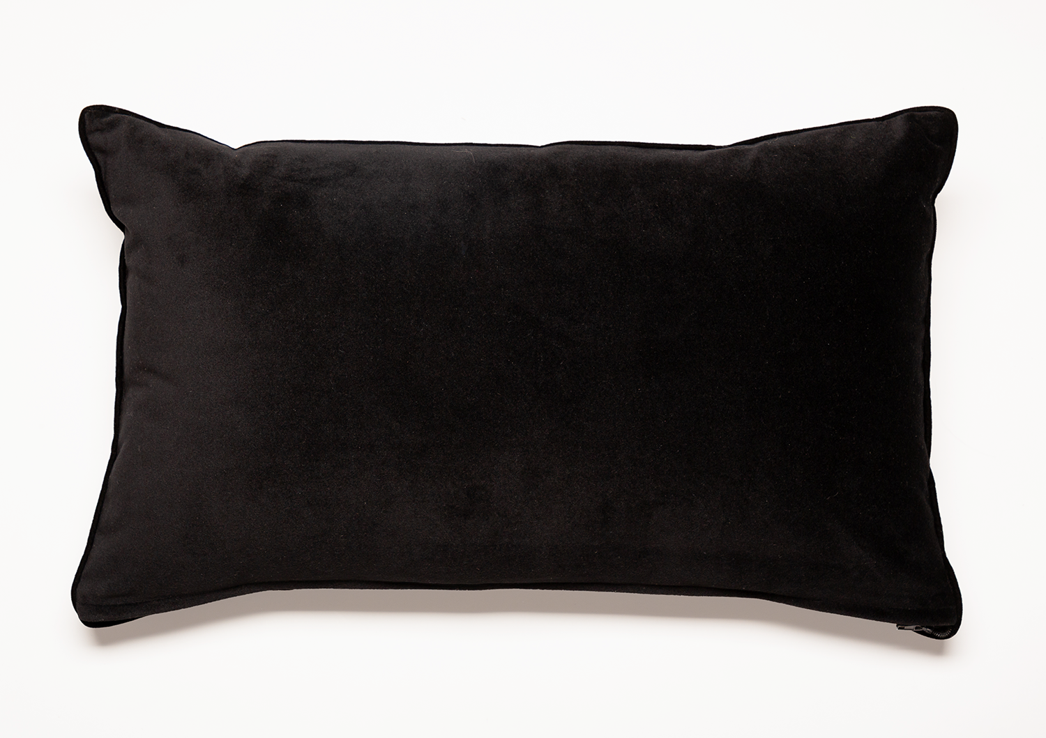 CHALK PALM CUSHION - LAZULI BLUE Velvet - Rectangular